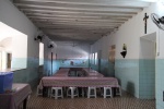 IMG_2668.JPG