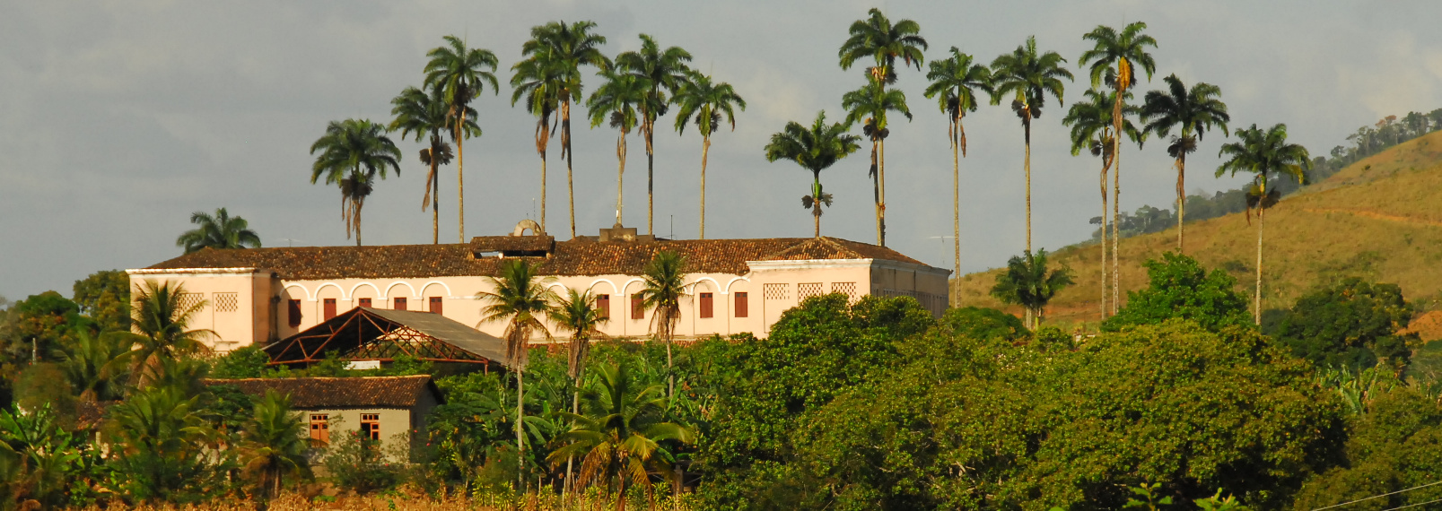 São Joaquim - Jaqueira